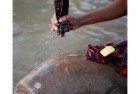 Washing in the River