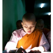 Burmese Nun