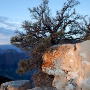 Grand Canyon Dawn 3