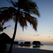 Maldives Dawn 2