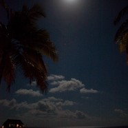Maldives Moonlight 1