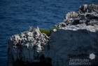 Menorca Rocks 2