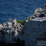 Menorca Rocks 2
