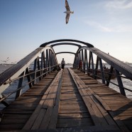 Bridge with Seagull